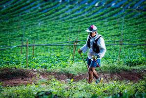 BIB: 
                            <button type="button" onclick="openModal(19159991)" class="btn btn-primary btn-sm float-right btn-popup" data-toggle="modal" data-target=".modal-high-quality">
                        <i class="fas fa-shopping-cart"></i> Add to Cart
                    </button>
                                            <button type="button" onclick="isThisMe(19159991, true)" class="btn btn-success btn-sm float-right btn-popup btn-isme hidden" data-toggle="tooltip" data-placement="bottom" title="นี่คือรูปของคุณใช่ไหม คลิกที่นี่เพื่อเอาเข้าอัลบั้ม">
                        <i class="fas fa-plus"></i> Add to album
                    </button>
                    <button type="button" onclick="isThisMe(19159991, false)" class="btn btn-warning btn-sm float-right btn-popup btn-isnotme hidden">
                        <i class="fas fa-ban"></i> Remove from album
                    </button>